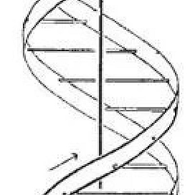 dna-double-helix.xb55e34a2