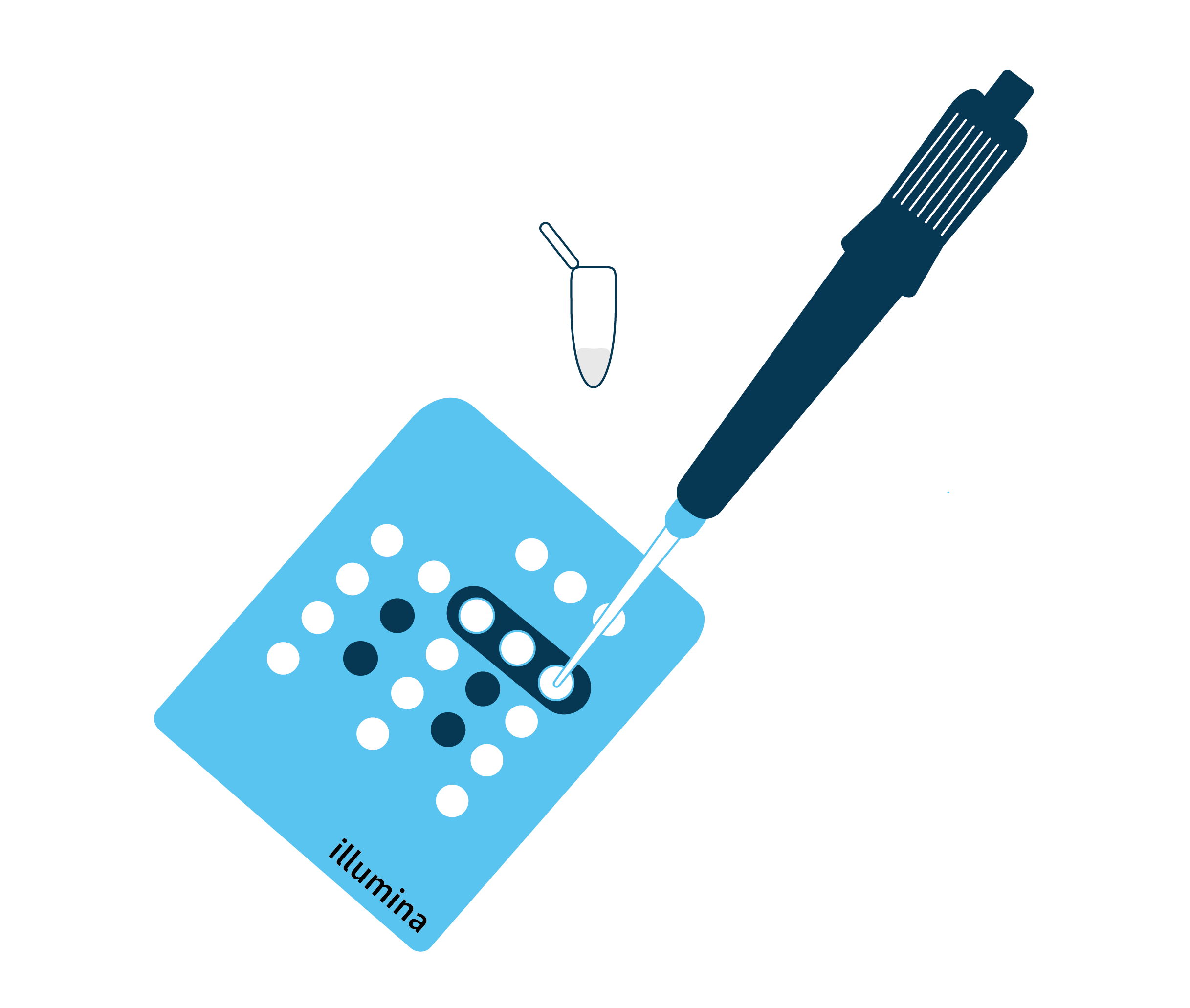 Cesta vašeho vzorku od odběru po „otevření“ vaší DNA