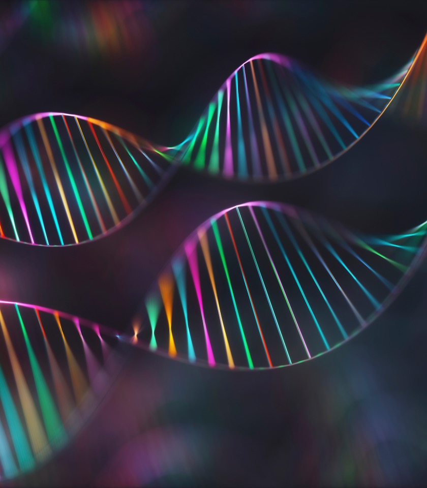 Humans have fewer coding genes than scientists expected