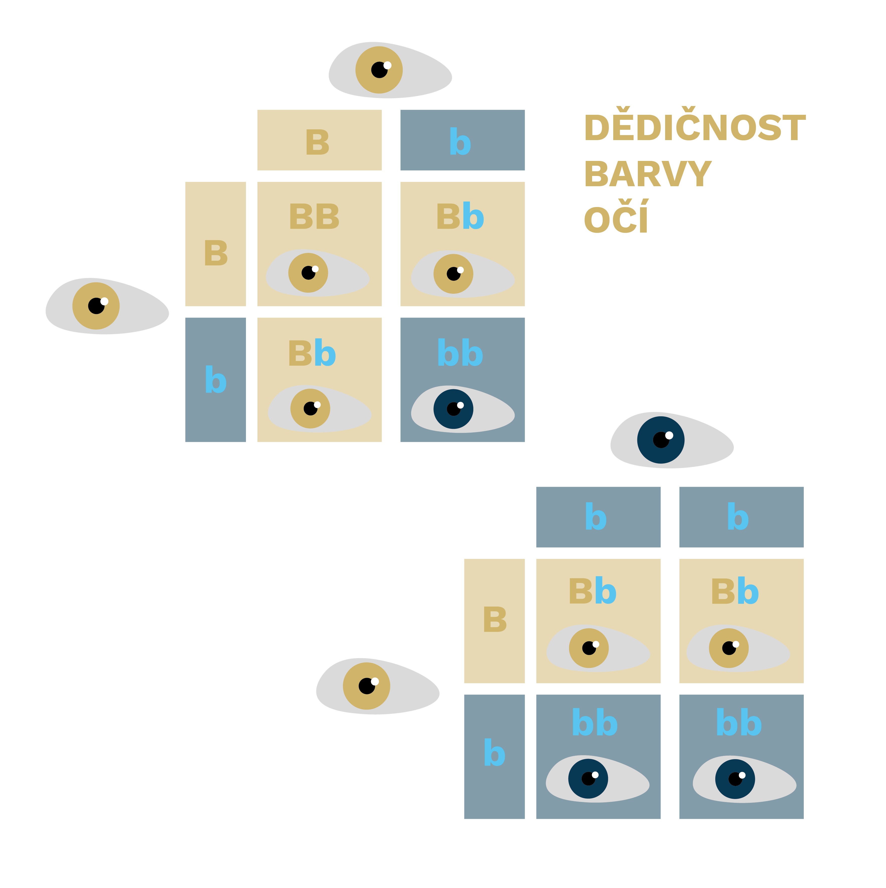 Okénko do úžasného světa genetiky