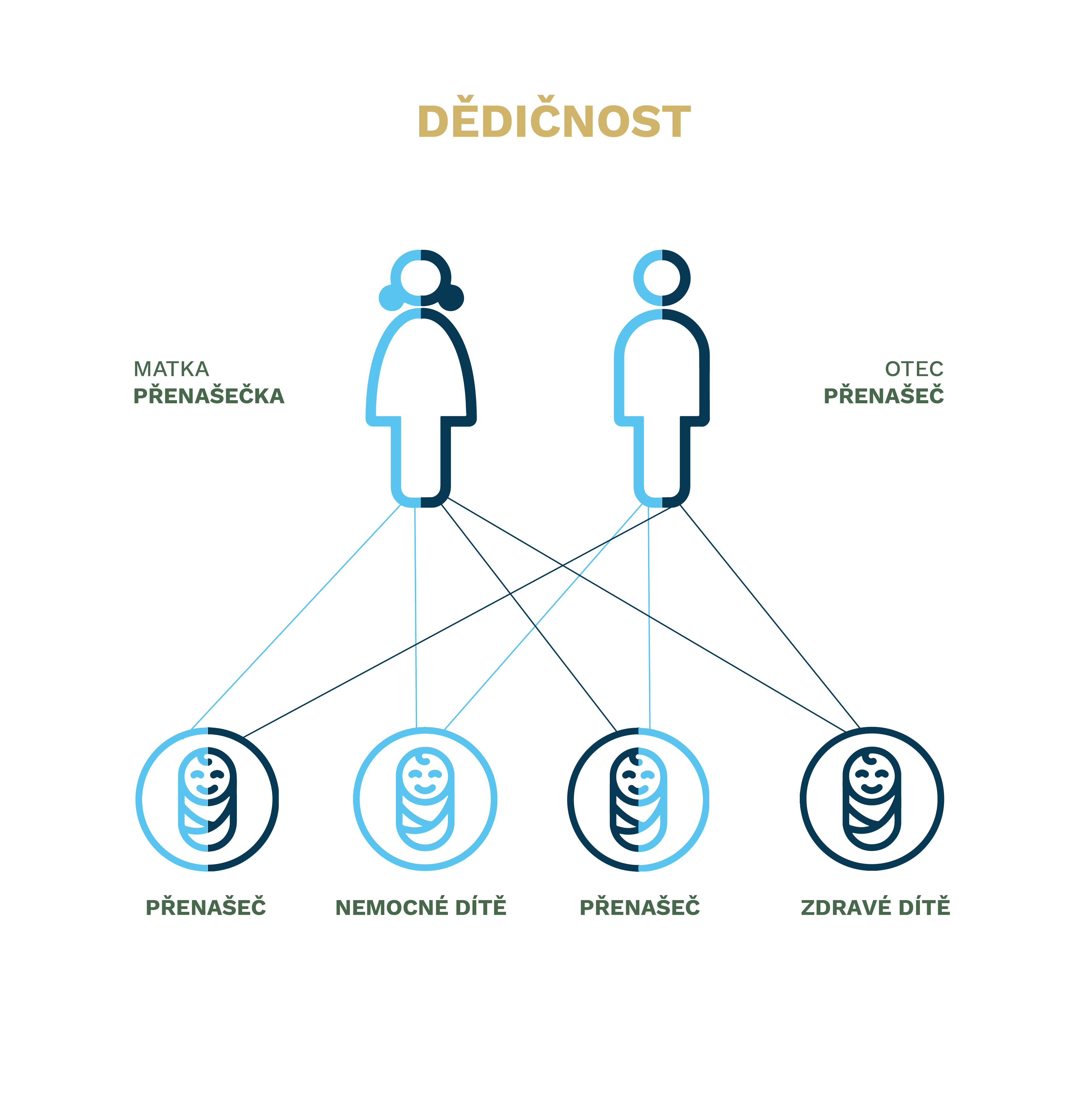 Okénko do úžasného světa genetiky