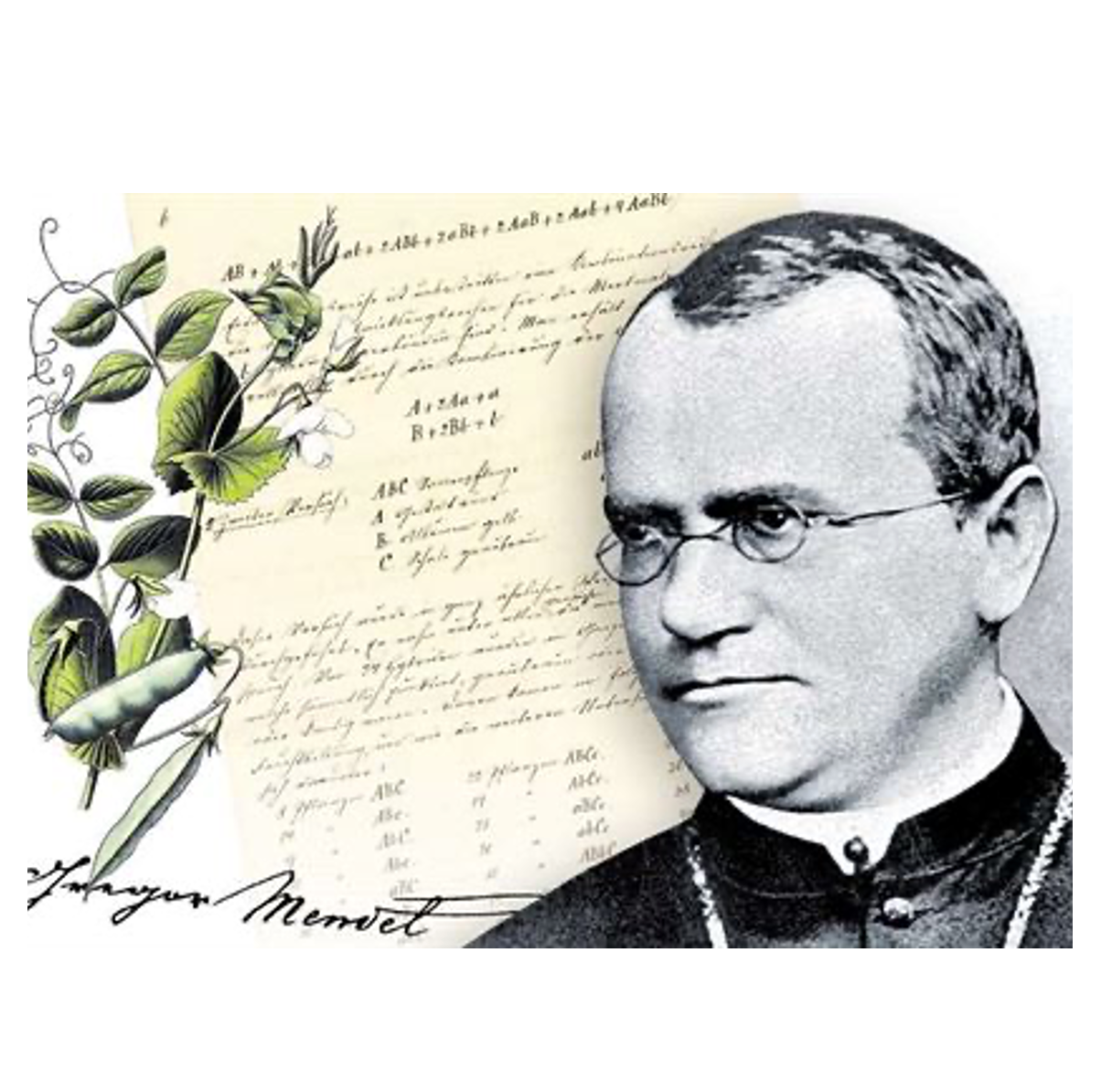 Okénko do úžasného světa genetiky