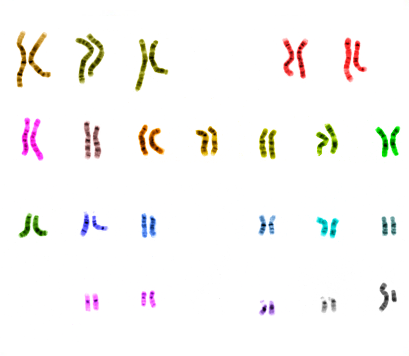 Okénko do úžasného světa genetiky