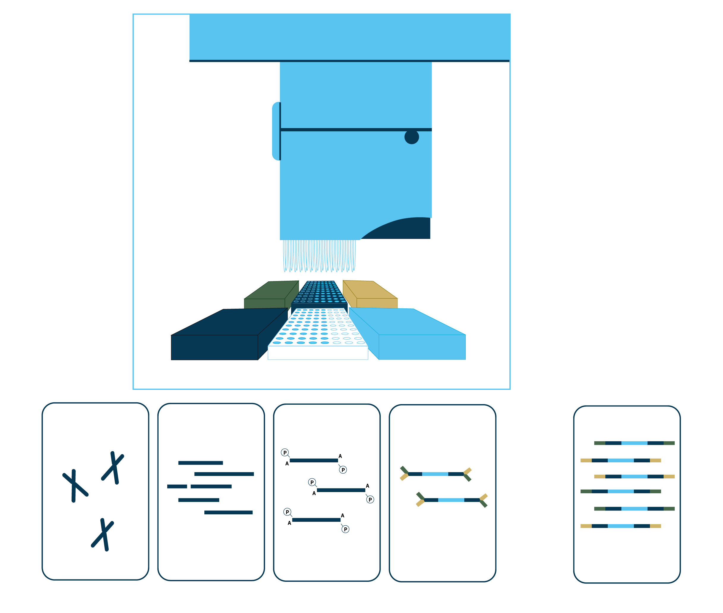Cesta vašeho vzorku od odběru po „otevření“ vaší DNA
