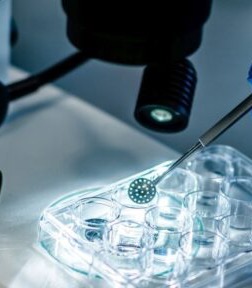 There is a group of diseases, 95% as yet untreatable, that affects more people worldwide than the number of cancer and AIDS patients combined.