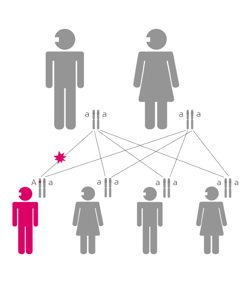 Poster about an interesting case - de novo mutation of PALB2 gene